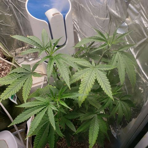 #1 Jane  growlog timeline photo