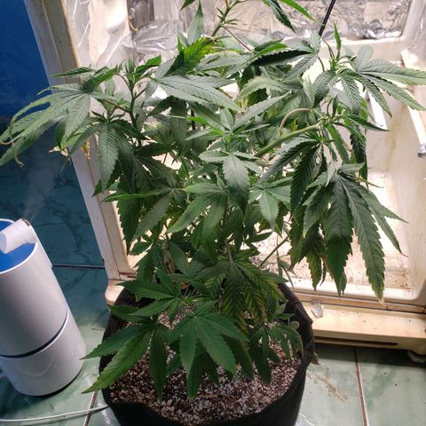 #1 Jane  growlog timeline photo