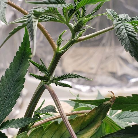 #1 Jane  growlog timeline photo