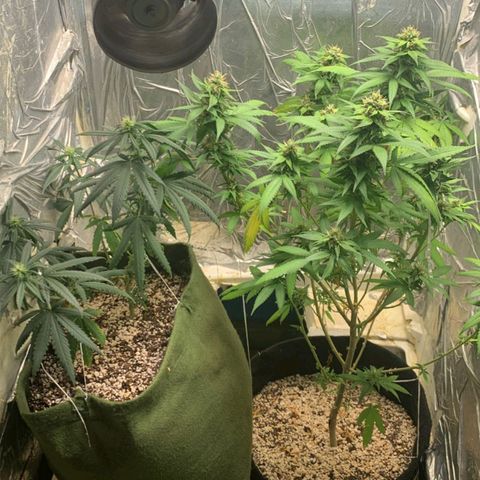 #1 Jane  growlog timeline photo