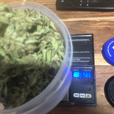 Cheese Auto #1 growlog timeline photo