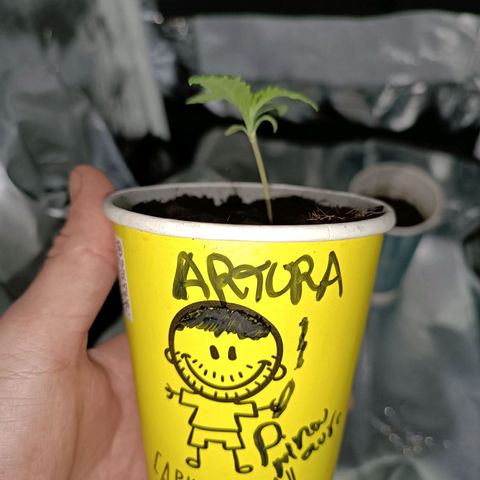 Ãrtŭrå growlog photo: Looking so good Day12 🔥
