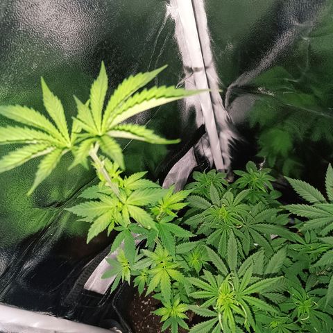 Ãrtŭrå growlog photo: She looks so beautiful ❤️🔥