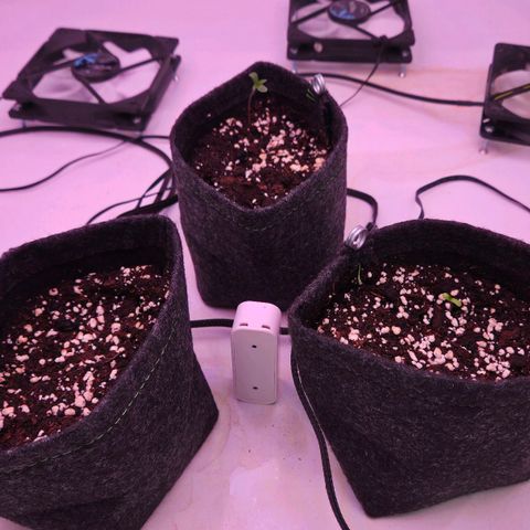 Shogun #1 growlog timeline photo