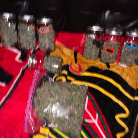 Runtz #1 growlog timeline photo