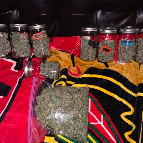 Runtz #1 growlog timeline photo