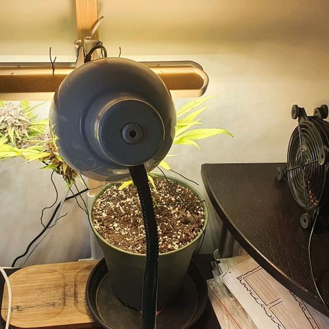 Terter growlog timeline photo