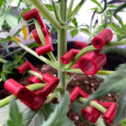 Northern Light Automatic #2 growlog photo: LST mit gedruckten Plant Benders