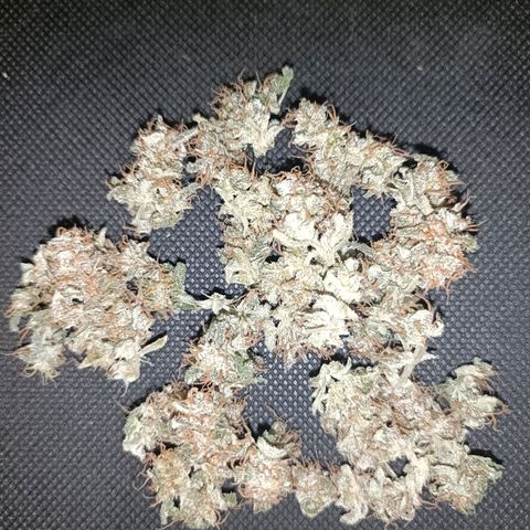 Diesel Auto growlog timeline photo