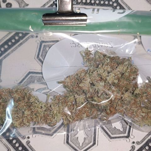 Diesel Auto growlog timeline photo
