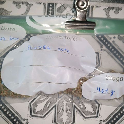 Diesel Auto growlog timeline photo