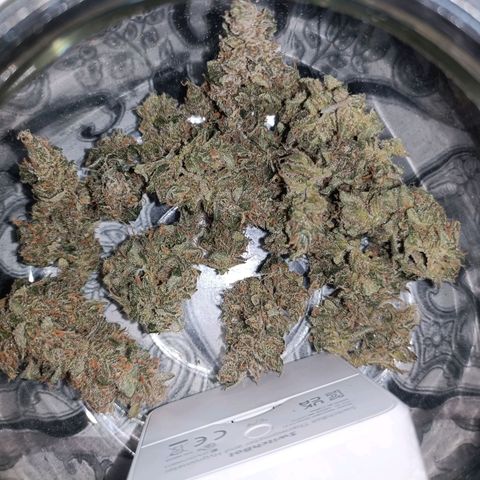 Auto White Widow growlog timeline photo