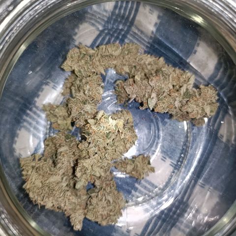 Auto White Widow growlog timeline photo