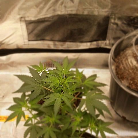 Durbin sunrise  growlog timeline photo