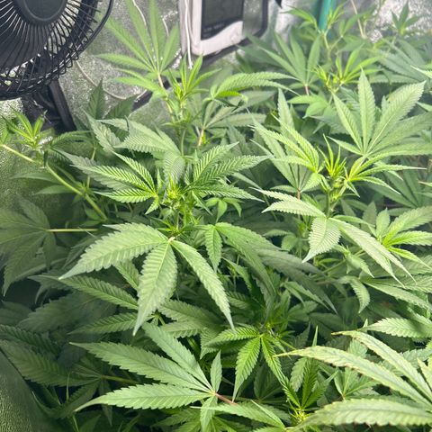 Sexy red growlog timeline photo