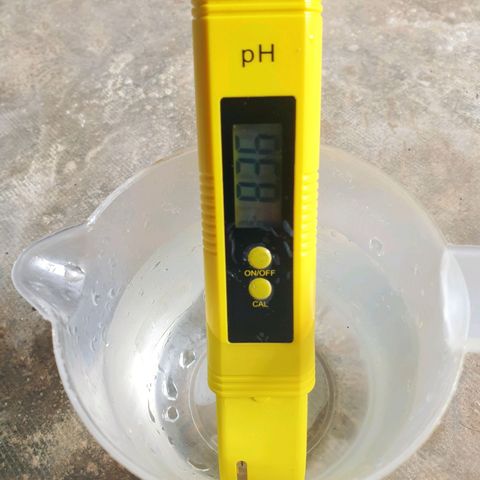 Blue Dream Matic Tree 2 growlog photo: Nomel Tap water Ph