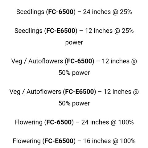 Blue Dream Matic Tree 2 growlog photo: Light haging higth rebalancing and light brightness up to 25%