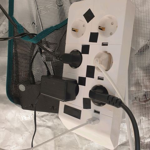 Blue Dream Matic Tree 2 growlog photo: Plug setup smart ihub 
