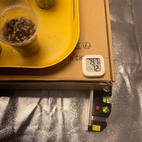Rs11 and biscotti growlog timeline photo