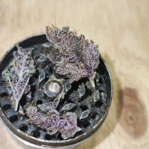 Red mandarine #4 growlog timeline photo