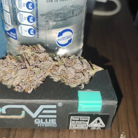 Red mandarine #4 growlog photo: Espectaculares flores se logró 1.4gxW buen ahorro de luz poco wataje para gran cosecha al punto que pude seleccionar para fumar lo mejor el resto para aceite rso topico.
Sin duda recomiendo los leds blackcob sobretodo la nueva generación y las semillas red mandarine de sweet seeds sin duda de los mejores sabores frutales cítricos que he probado con terpenos muy marcados a berries, bayas, mandarina y un toque especiado con un leve retoque cremoso al paladar
