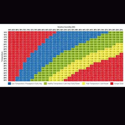 Roy.Gorilla 8.BW ^25%THC growlog timeline photo
