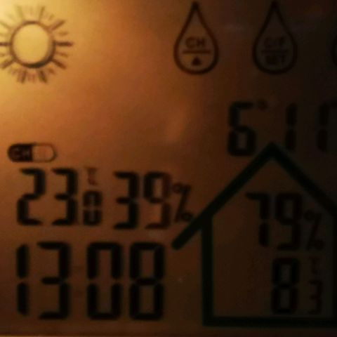 Roy.Gorilla 8.BW ^25%THC growlog timeline photo