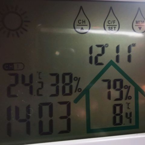 Roy.Gorilla 8.BW ^25%THC growlog timeline photo
