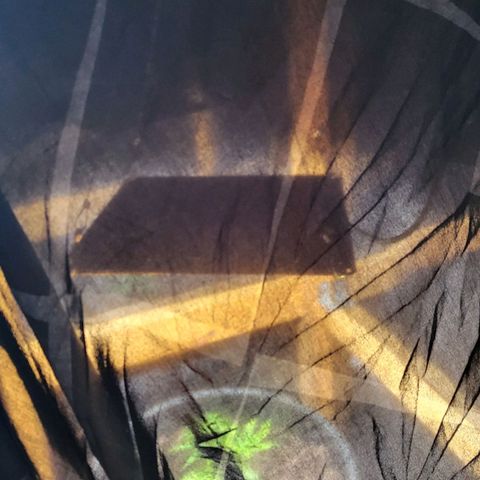 B.i.g growlog timeline photo