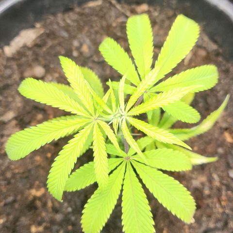 B.i.g growlog timeline photo