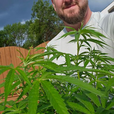 Cherry Glue Fritter Licker growlog timeline photo