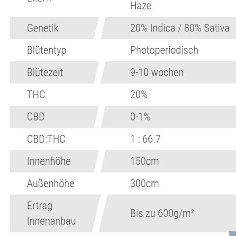 White Choco Haze growlog timeline photo