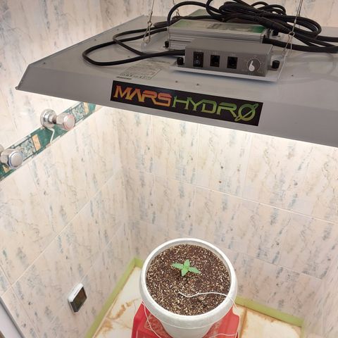 Maigualida growlog timeline photo