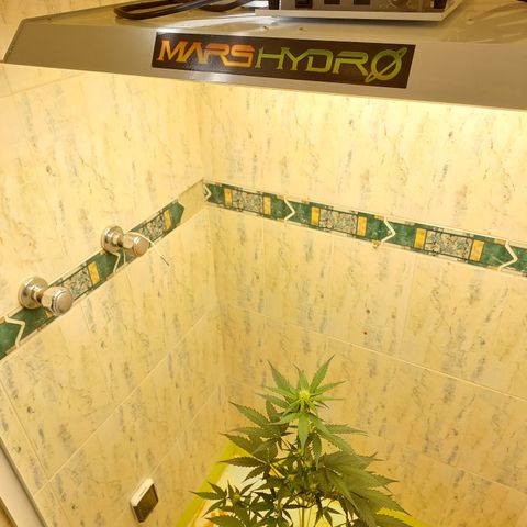 Maigualida growlog timeline photo