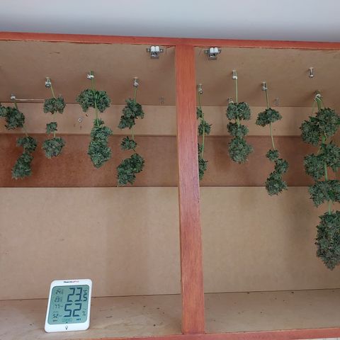 Maigualida growlog timeline photo