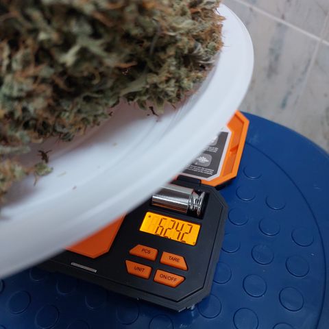 Maigualida growlog photo: Peso 62gr en Seco