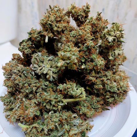 Maigualida growlog photo: Peso 62gr en Seco