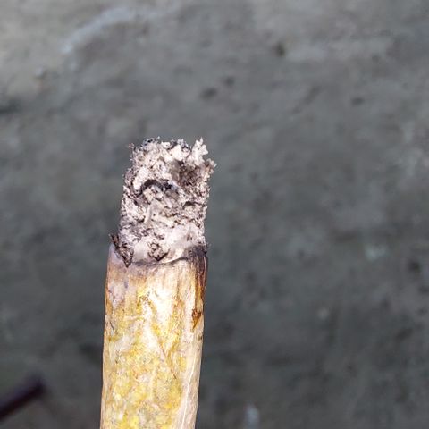 Maigualida growlog timeline photo