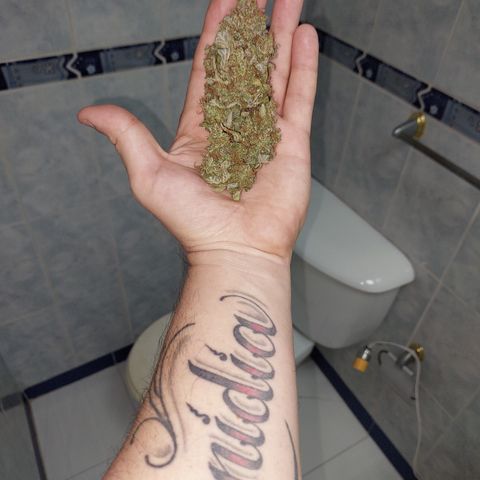 Maigualida growlog timeline photo