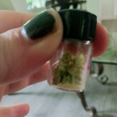 Wedding Glue Pollen  growlog photo: Pollen from only 5-6 flowers 