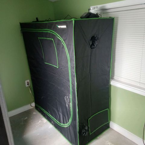 Wedding Glue Auto  growlog photo: 2×4 dry tent fitted with 4in exhaust, ACI Pro Sensor, 1 ACI oscillating fan. Using the hang dry method from a trellis net. Mix of dry and wet trimming 