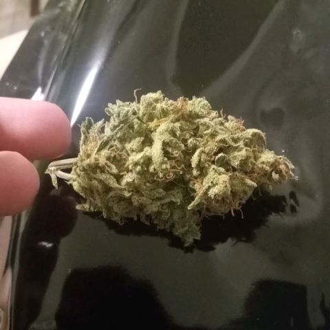 Wedding Glue Auto  growlog timeline photo