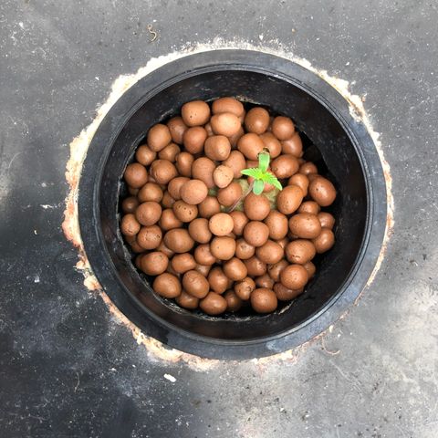 ศรราม growlog timeline photo
