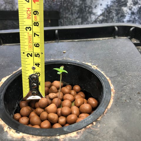 ศรราม growlog timeline photo
