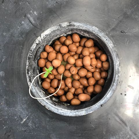 น้ำพุ growlog timeline photo