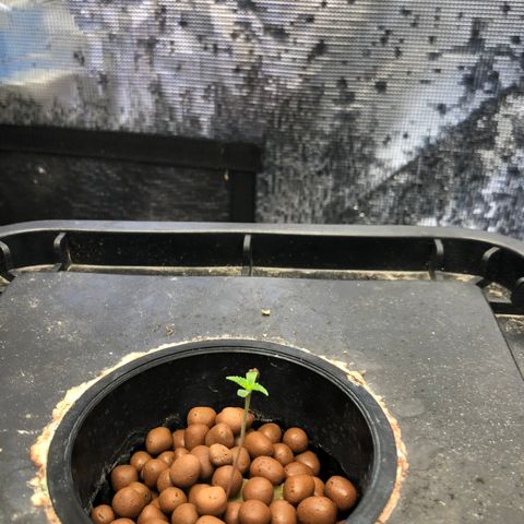 ศรราม growlog timeline photo