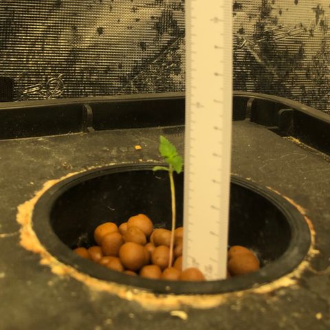 ศรราม growlog timeline photo