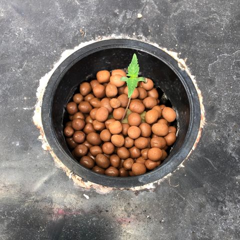 ศรราม growlog timeline photo