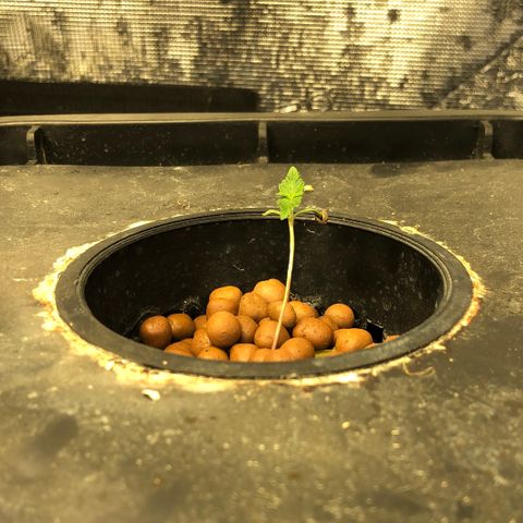 ศรราม growlog timeline photo