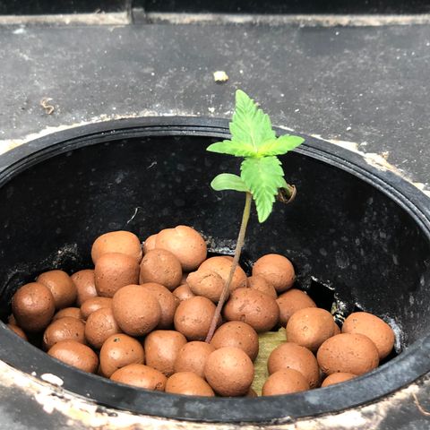 ศรราม growlog timeline photo